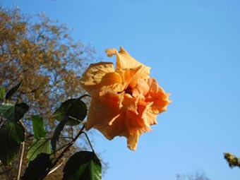 kann man sich daran satt sehen?